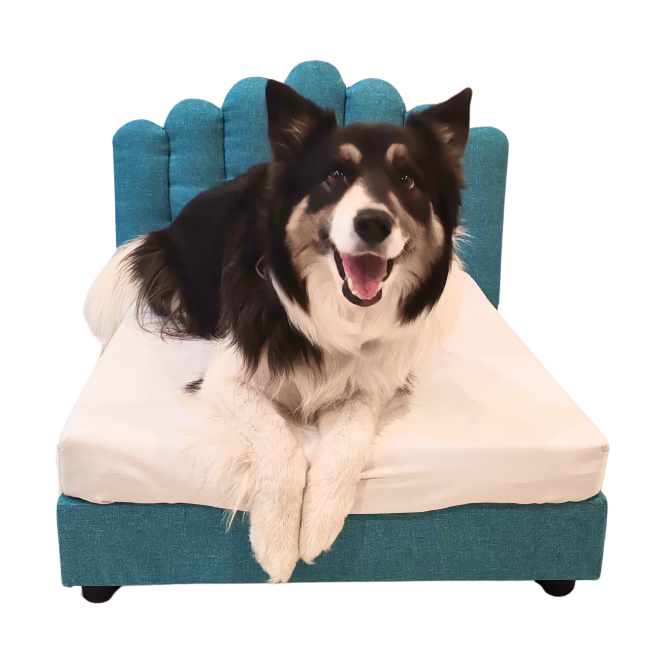 Trono Aquiles (Turquesa)
