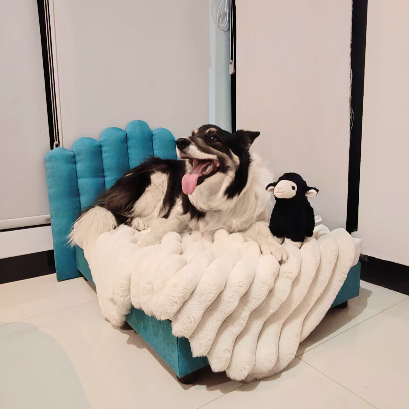 Trono Aquiles (Turquesa)