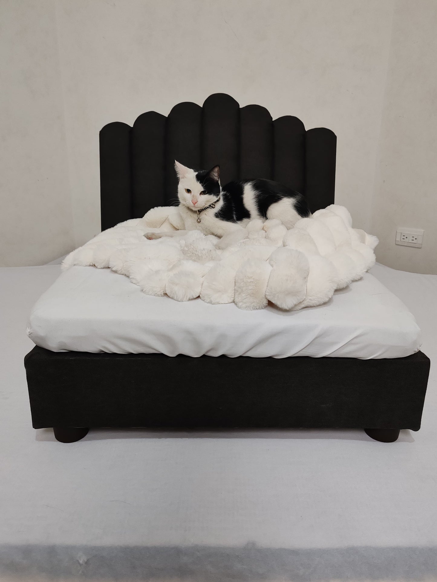 Trono Kong (Negro)