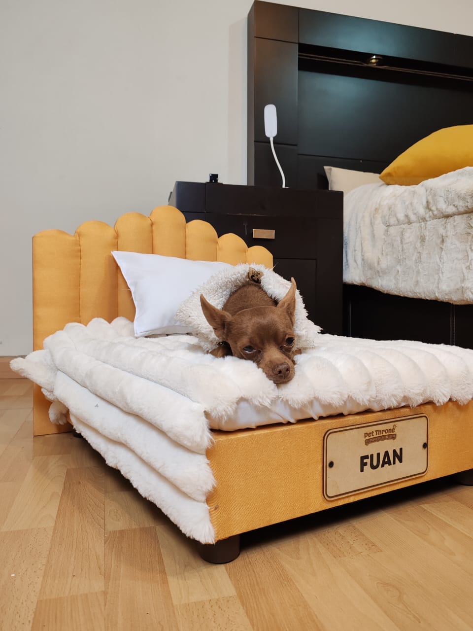 Trono Cachin (Mostaza)