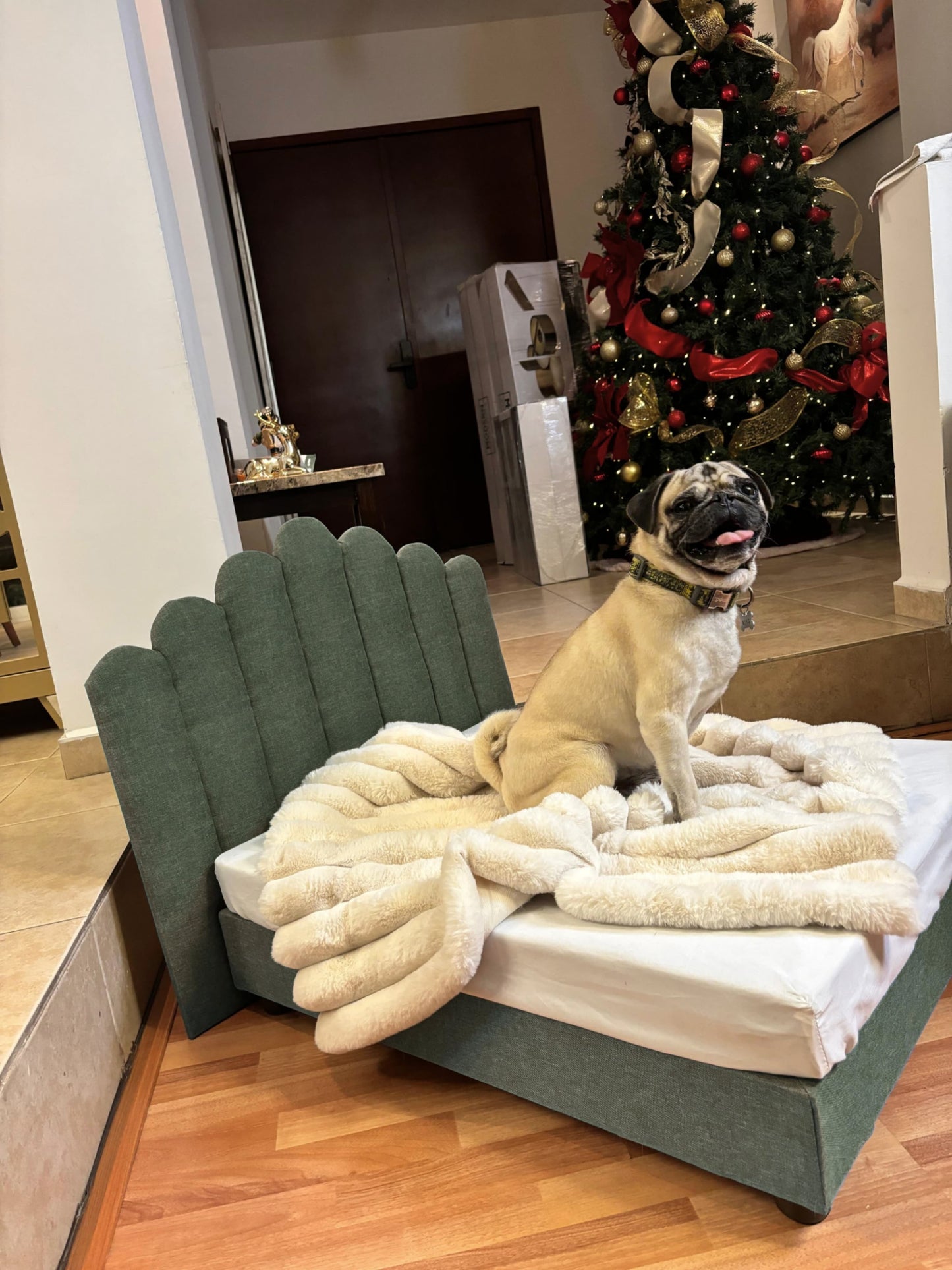 Trono Rocky (Verde Caqui)