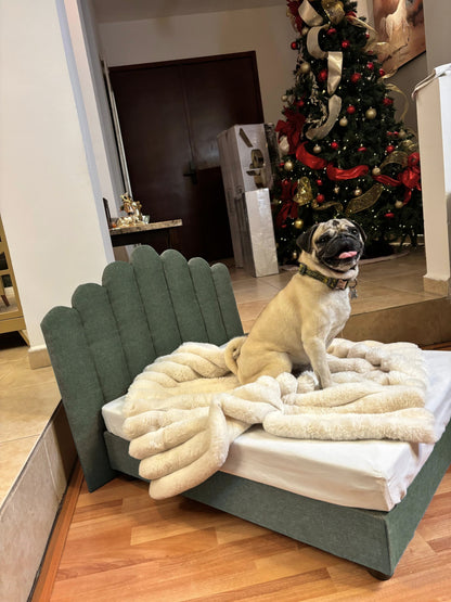 Trono Rocky (Verde Caqui)
