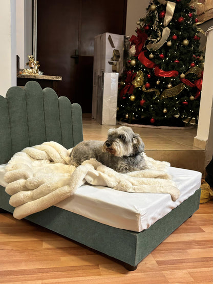 Trono Rocky (Verde Caqui)